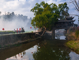 以案说险：重视投保流程，守护自身权益