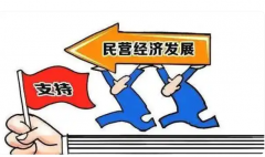 塑造稳定营商环境，产业园区责任大